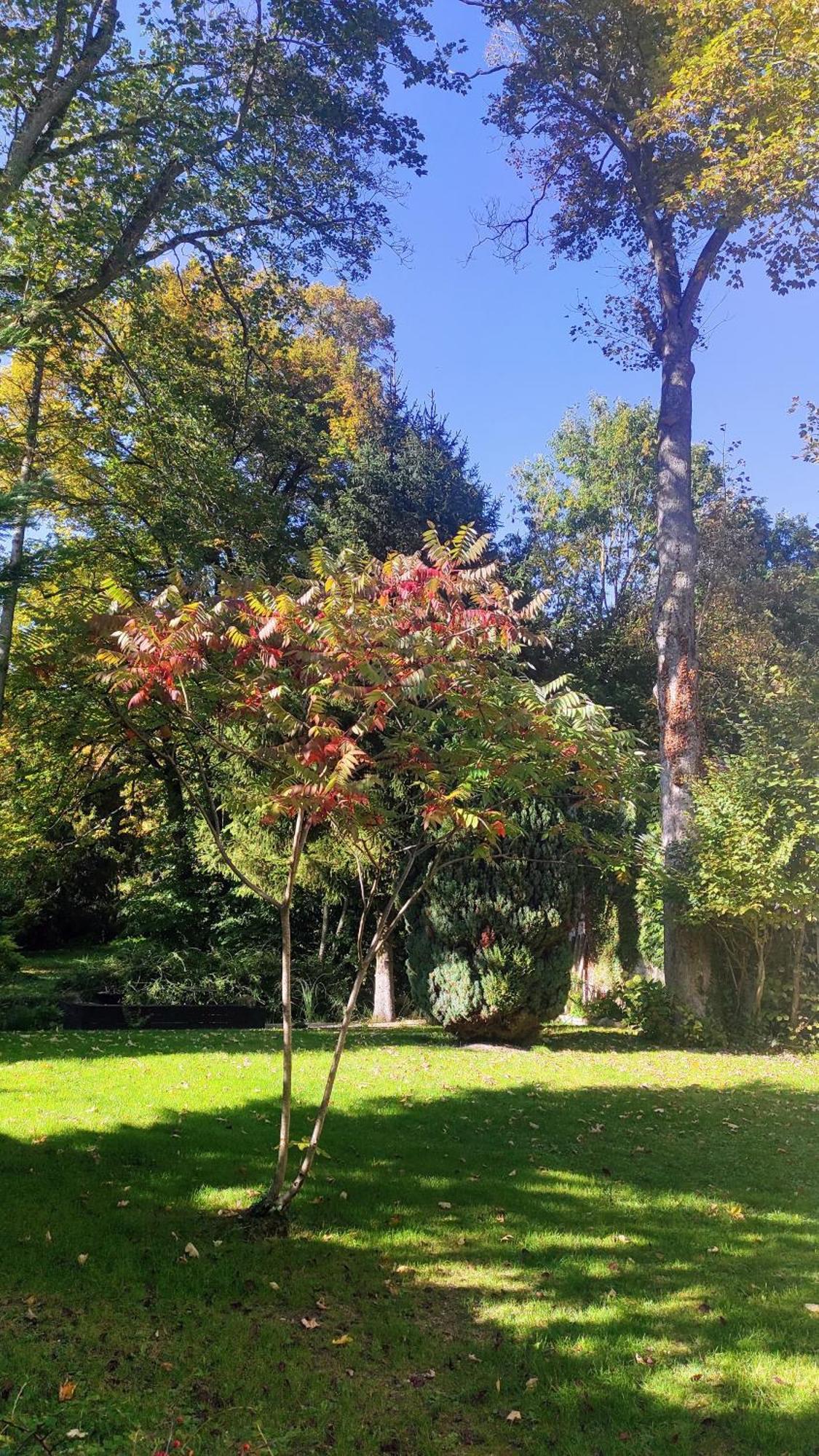 Bed and Breakfast Pavillon C.R Isles-sur-Suippe Esterno foto